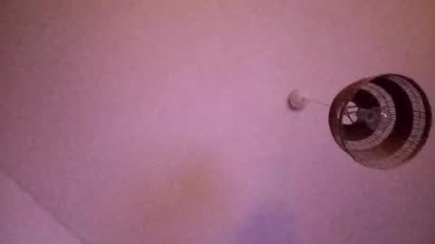 penesvoladores92 online show from 02.28.26