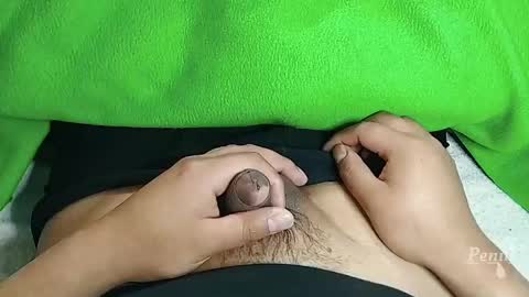 Penils online show from 04.20.26