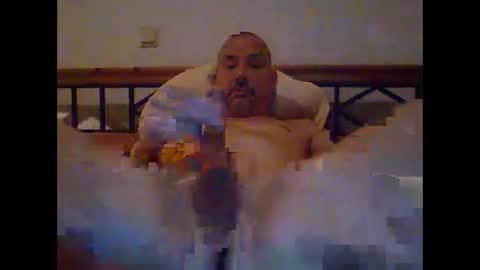 pet09 online show from 01.06.25