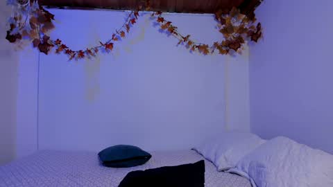 Snapshot of petalsrose_ chatting on 12.04.24 Rose online show from 12.04.24