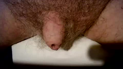 peterpeteropoulos online show from 10.21.25