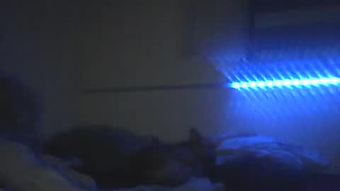 Snapshot of peterscherer620 chatting on 02.10.26 Pitsches online show from 02.10.26