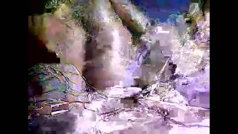 peterson1978 online show from 11.08.25