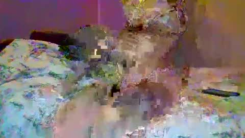 petite_baby23 online show from 05.23.26
