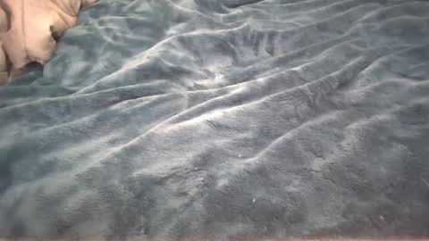 Snapshot of petite_cupcake chatting on 02.26.25 Little cupcake online show from 02.26.25