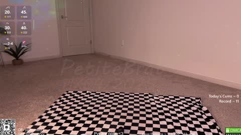 Snapshot of petitebrat chatting on 11.05.25 PiperAvery online show from 11.05.25