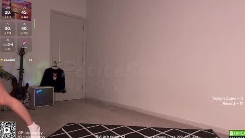 Snapshot of petitebrat chatting on 11.29.25 PiperAvery online show from 11.29.25