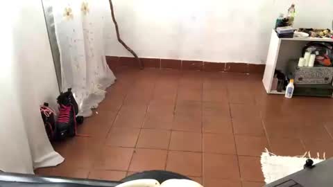 Mlian online show from 04.15.26