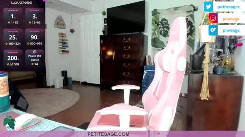 Snapshot of petitesage chatting on 12.25.24 petitesage online show from 12.25.24