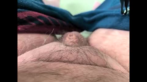 petrol63102 online show from 03.13.26