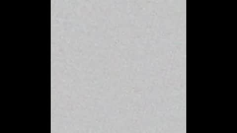 peytonn_monroe online show from 01.19.26