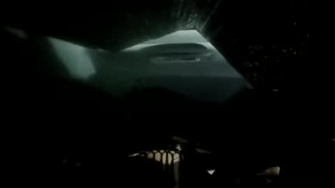 phillipdee online show from 11.26.25