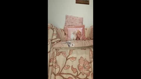 philos1979 online show from 01.19.26