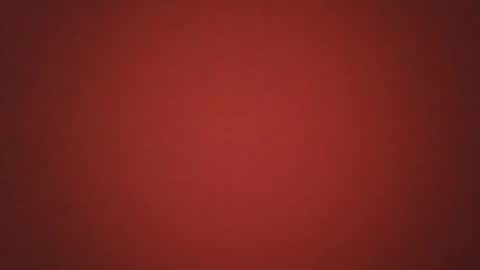 Pideolo online show from 11.02.25