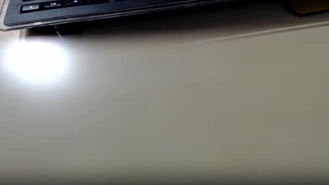 pier49x online show from 10.12.25