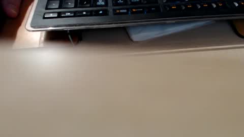 pier49x online show from 04.18.26