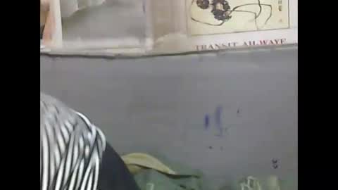 pierrette12345 online show from 04.11.26