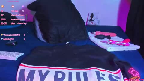 Snapshot of piggy_eddy chatting on 02.10.26 Eddy Brock... Its a pleasure to talk to... online show from 02.10.26