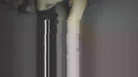 piggyes 74 online show from 09.21.25