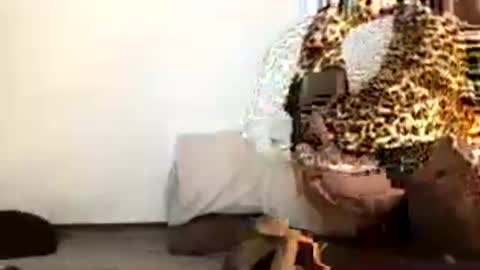 Snapshot of pilicross chatting on 07.19.26 pilicross online show from 07.19.26
