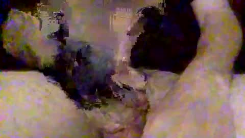 pinaykittylover online show from 04.19.26