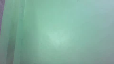 Snapshot of pinkish_shine chatting on 02.27.25 Hi its me shine online show from 02.27.25
