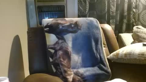 pirate334 online show from 01.18.26