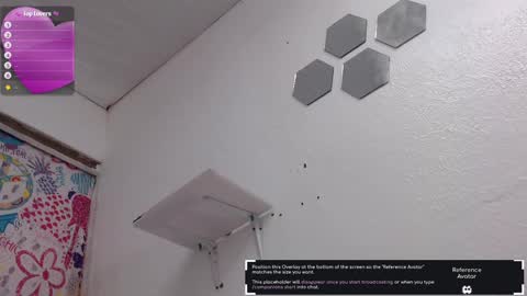 Snapshot of pitervagina chatting on 03.02.25 PITER online show from 03.02.25