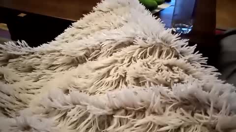 Snapshot of pitoenmano_ chatting on 02.09.25 Antn online show from 02.09.25