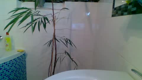 Snapshot of piwo58 chatting on 03.06.25 piwo58 online show from 03.06.25