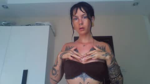 pixiecatfairy online show from 02.23.26