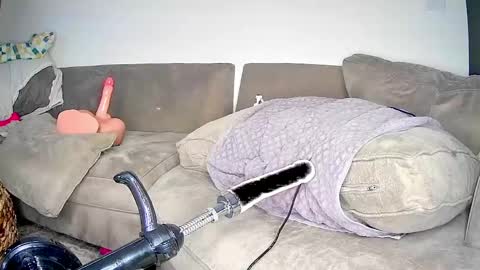 PeggedBiGuy online show from 04.25.26