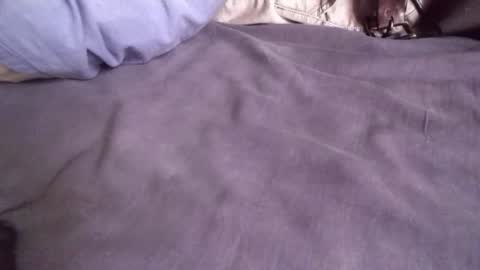 Snapshot of platoniclov chatting on 11.09.25 platoniclov online show from 11.09.25