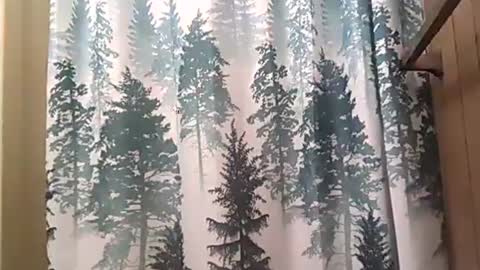 Snapshot of playboy5543 chatting on 12.12.24 SEX ADDICTION WANNA MEET online show from 12.12.24