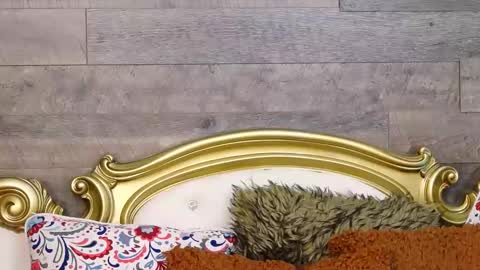 PlayfulSamy online show from 12.12.24