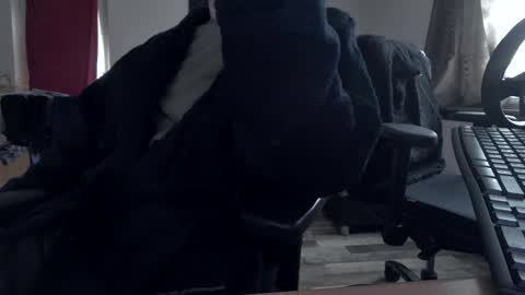 Snapshot of plboy23 chatting on 11.30.25 Hello ask me . Im glad to see you here in my room. Welcome PVT is open online show from 11.30.25