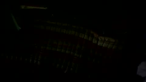 pleaseownme2 online show from 09.13.25