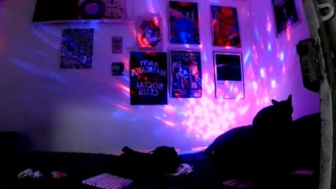   online show from 06.30.26