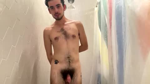 Snapshot of plutothepuppy chatting on 11.18.25 Pluto The Pup online show from 11.18.25