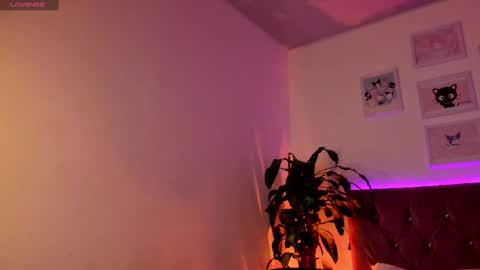 Patrocla online show from 02.14.25