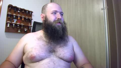 Bear online show from 01.14.25