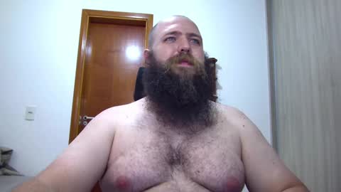 Bear online show from 02.03.25