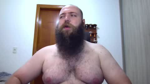 Bear online show from 02.04.25