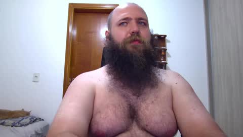 Bear online show from 02.07.25