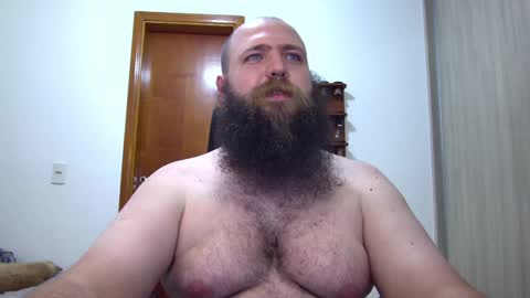 Bear online show from 02.08.25
