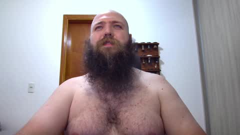 Bear online show from 02.09.25