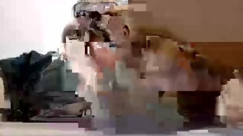 Snapshot of poli475 chatting on 02.27.26 poli online show from 02.27.26