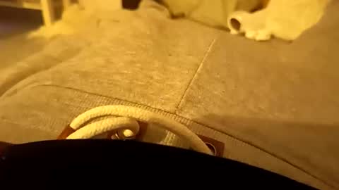 Snapshot of pollontf chatting on 03.02.26 pollontf online show from 03.02.26