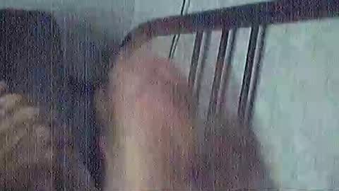 polochar online show from 03.15.26