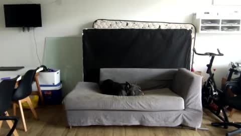 popopo0 online show from 01.28.25